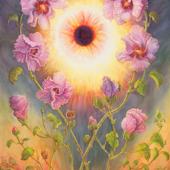 Artwork 63: Sturt's Desert Rose and the Solar Eclipse