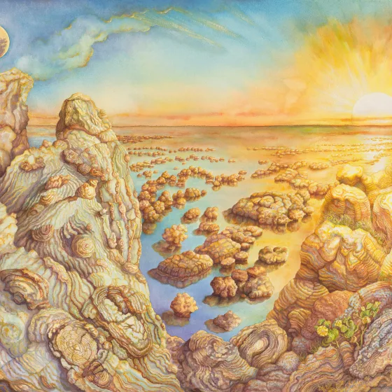 Artwork 1: Stromatolite Genesis