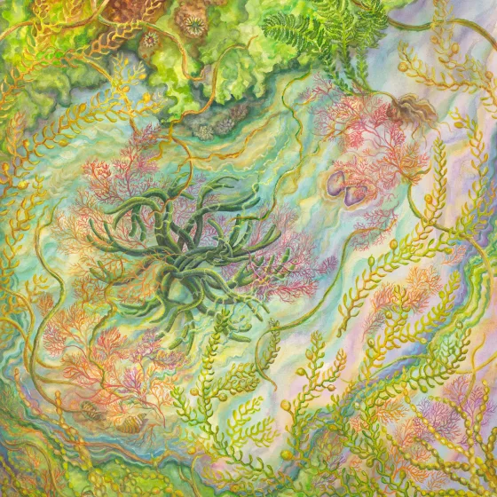 Artwork 2: Elegant Algae