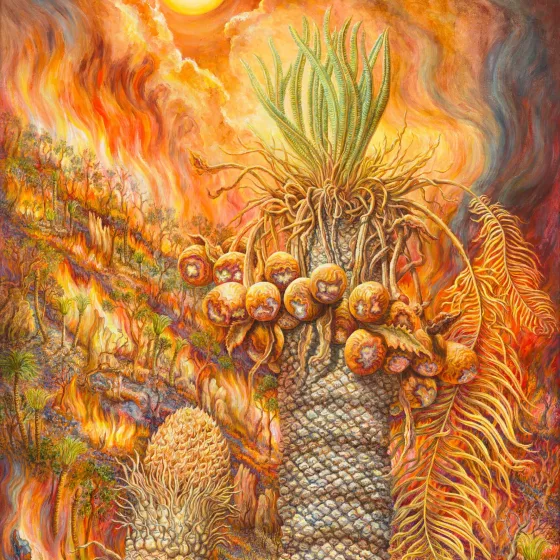 Artwork 10: Fire-Ferns and Fire on the Ridge