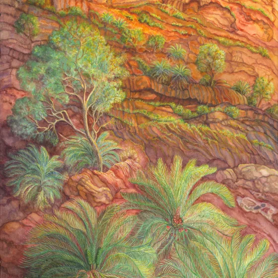 Artwork 12: Last Light Over Cycad Gorge