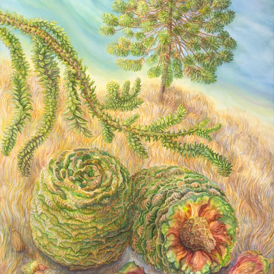 Artwork 16: Spherical Silhouette, Fallen Feasts