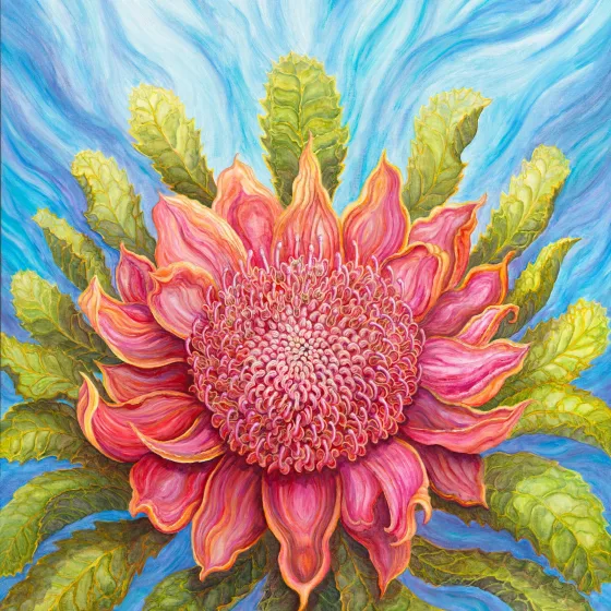 Artwork 20: Waratah Rising