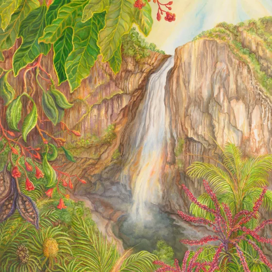 Artwork 22: Flame Trees at Wallaman Falls, Queensland