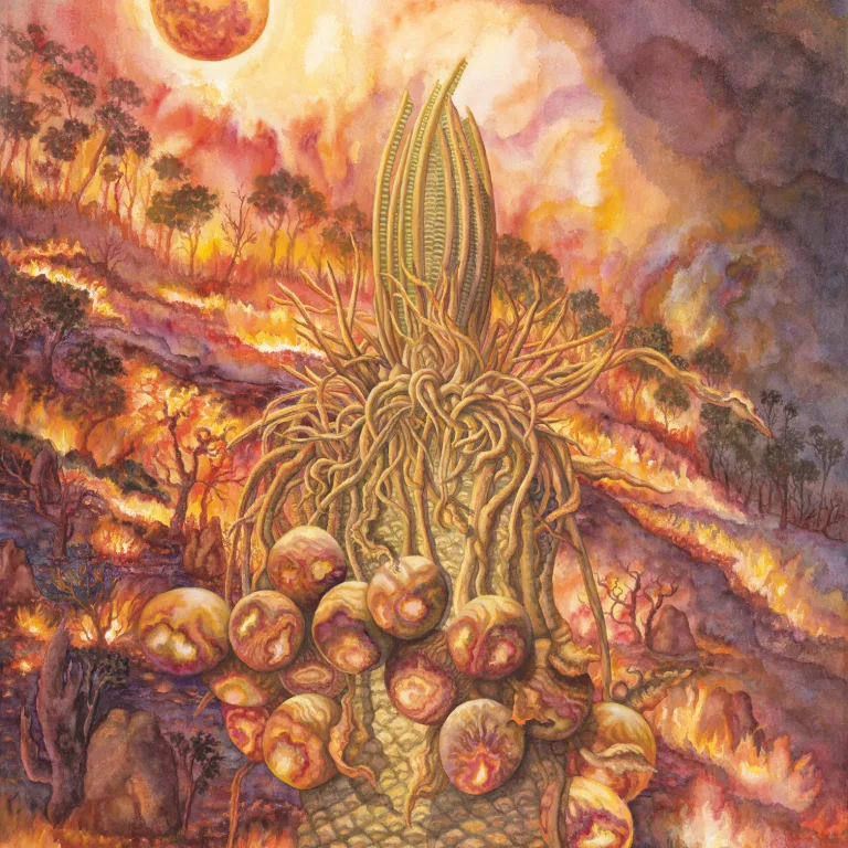 Artwork 8: Fire-Fern and the Bushfire Moon
