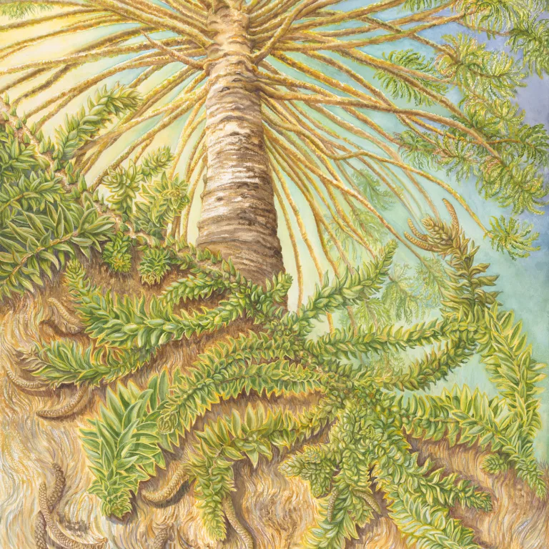Artwork 15: Spirals, Spikes, and Crescent Cones
