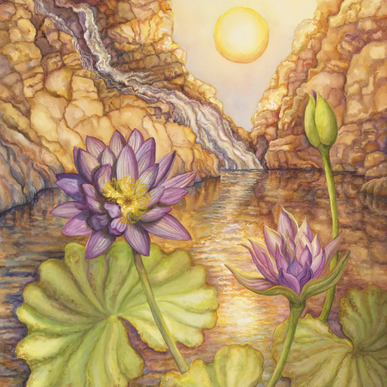 Artwork 19: Waterlily of the Setting Sun