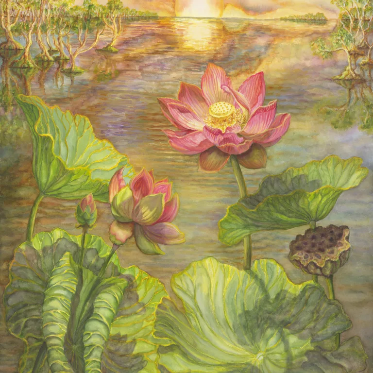 Artwork 27: The Dawn Flowering Sacred Lotus