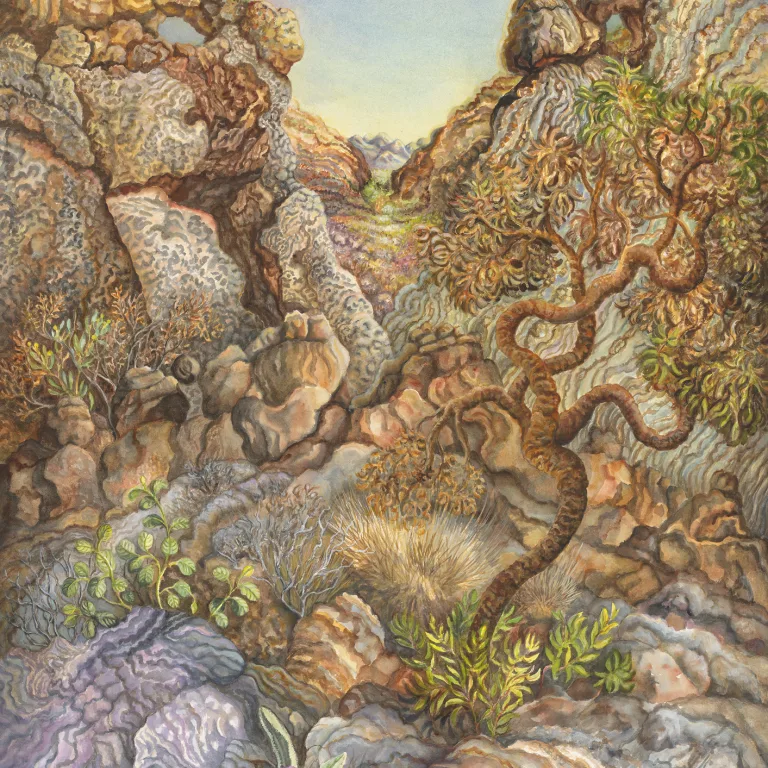Artwork 57: Ellery Quintet: A Year in the Life of a Desert Oasis. III—Survivors of Fire on the Ridges