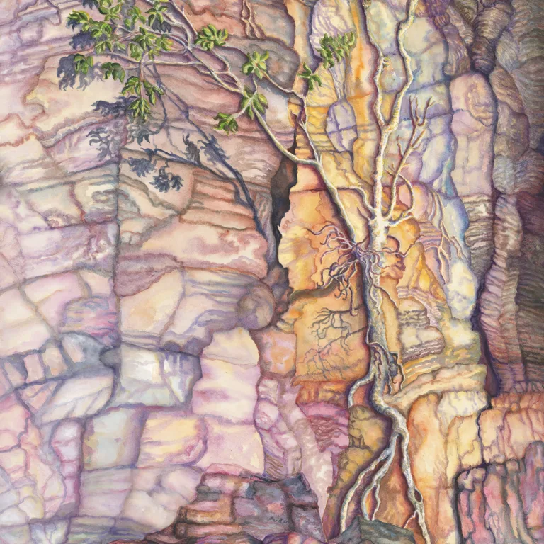 Artwork 67A: Fig Illusion II