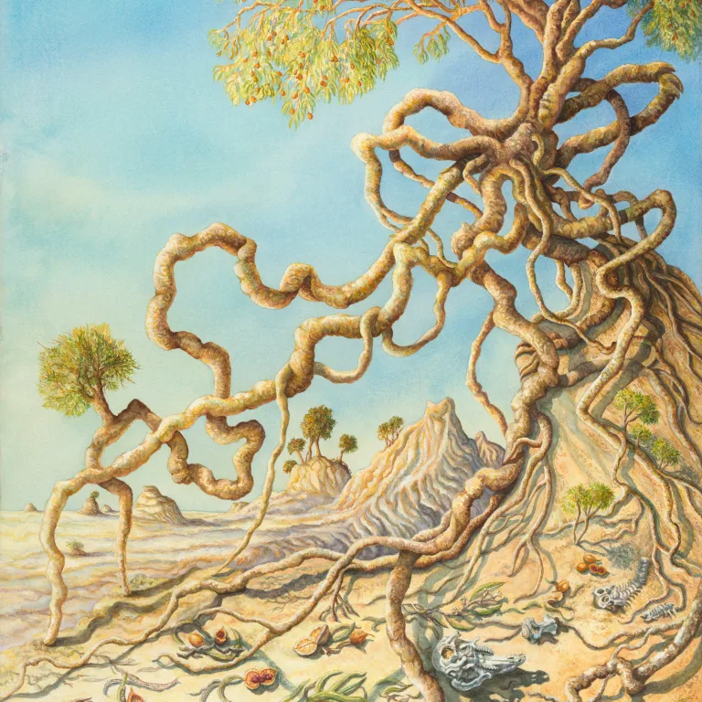 Artwork 61: Lake Mungo and the Weeping Pittosporum
