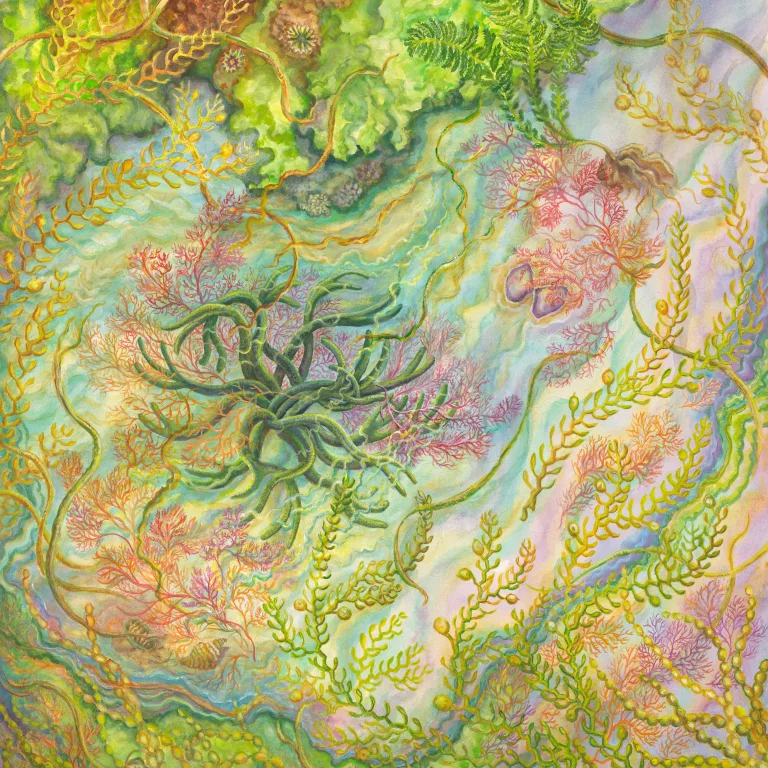 Artwork 2: Elegant Algae