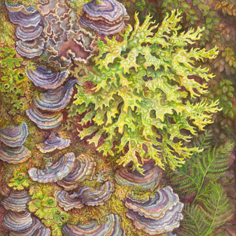 Artwork 3: Lyrical Lichens and Fluorescent Fungi