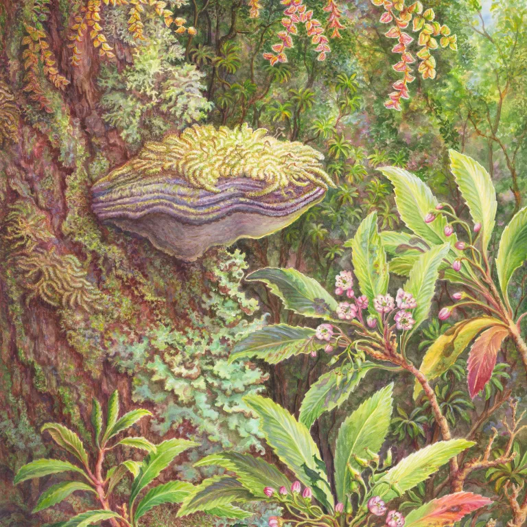 Artwork 4: Colourful Array of New Growth and Old in a Tasmanian Rainforest