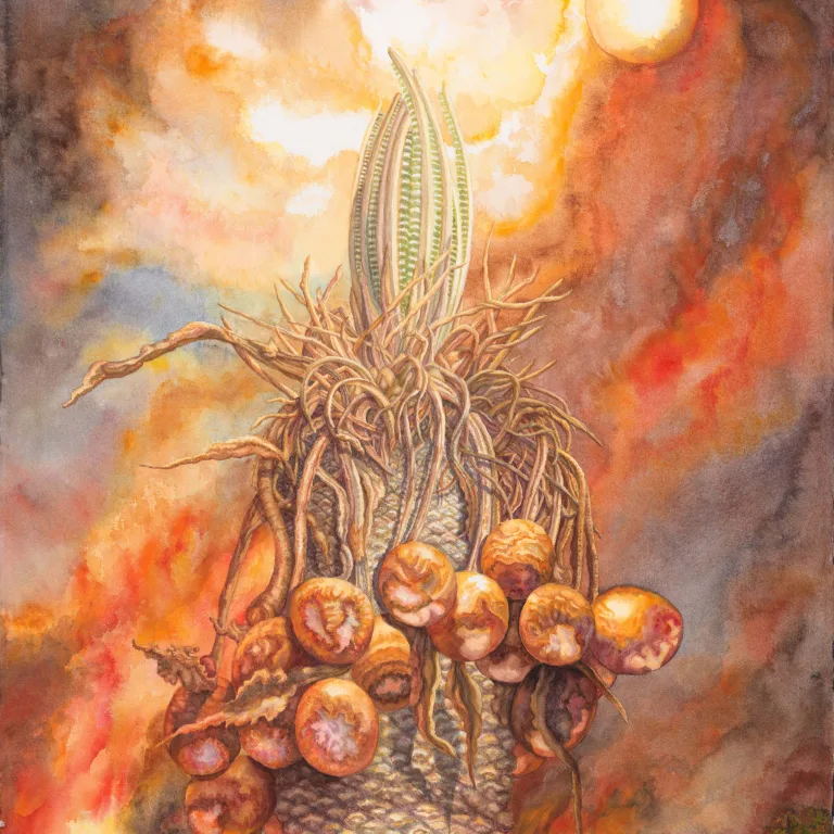 Artwork 7: Fire-Fern and the Bushfire Sun