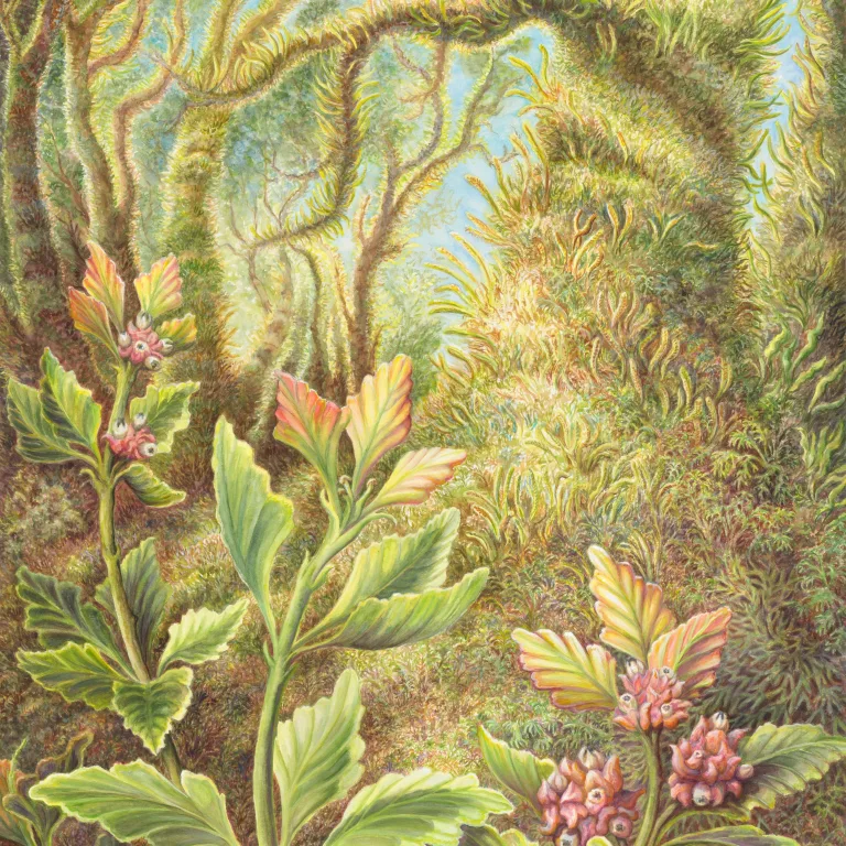 Artwork 14: Outliving Most Dinosaurs: Tasmania's Celery-Top Pine