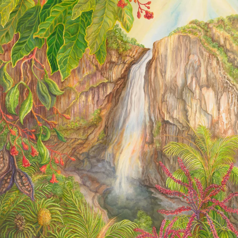 Artwork 22: Flame Trees at Wallaman Falls, Queensland