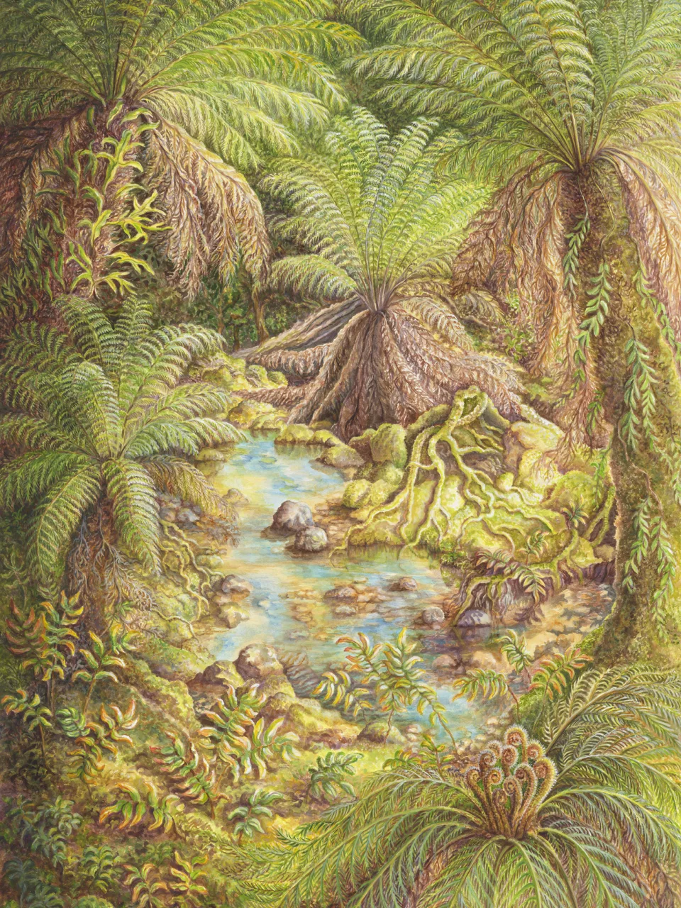 6: In a Gondwanan Rainforest—Primordial Fern Grotto (Tasmania)