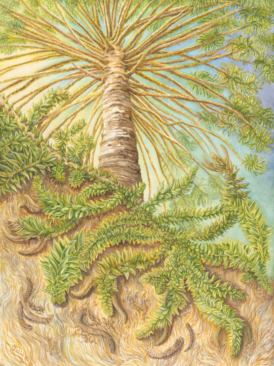 15: Spirals, Spikes, and Crescent Cones