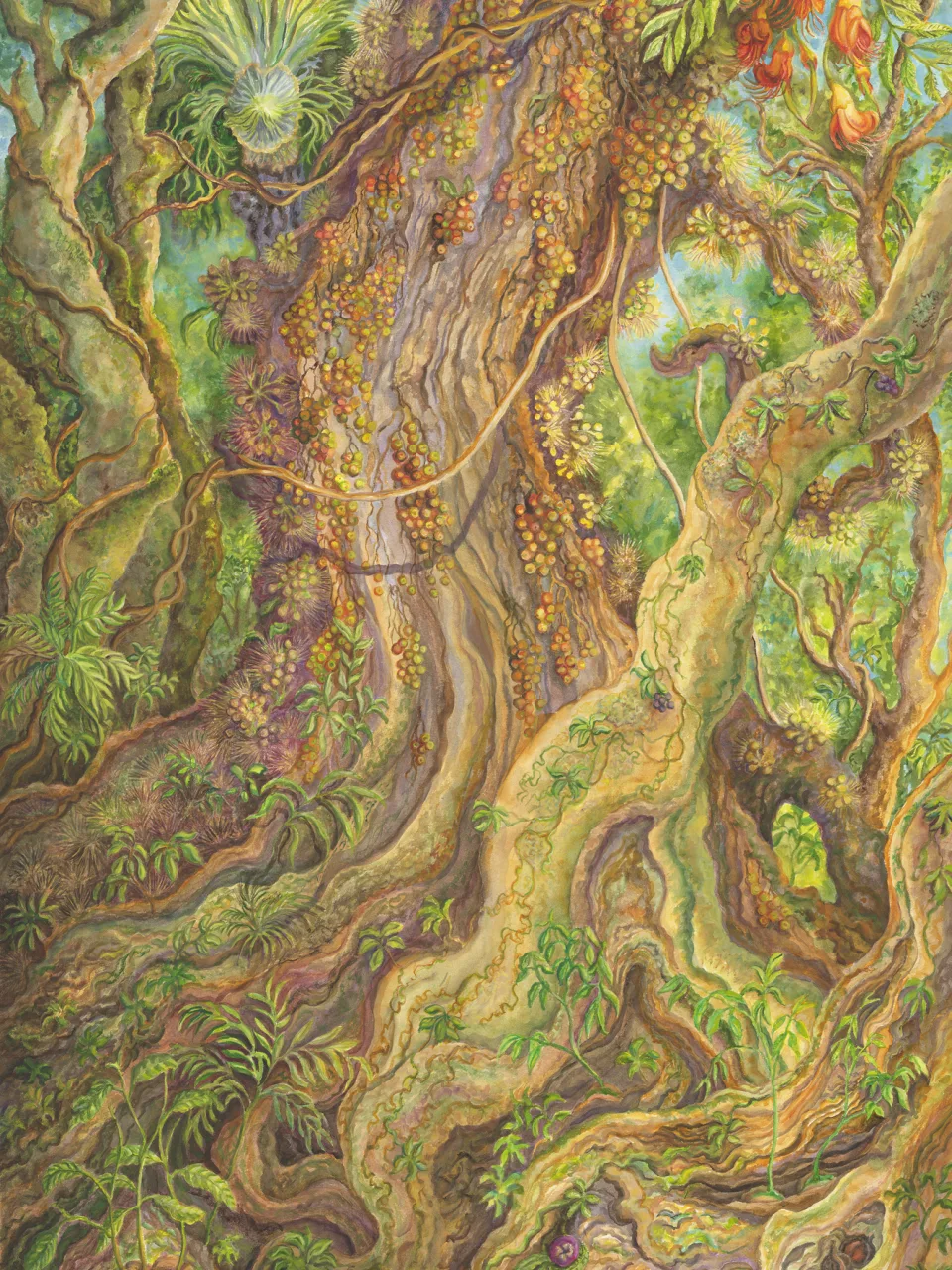 21: Deep in a Wet Tropical Rainforest