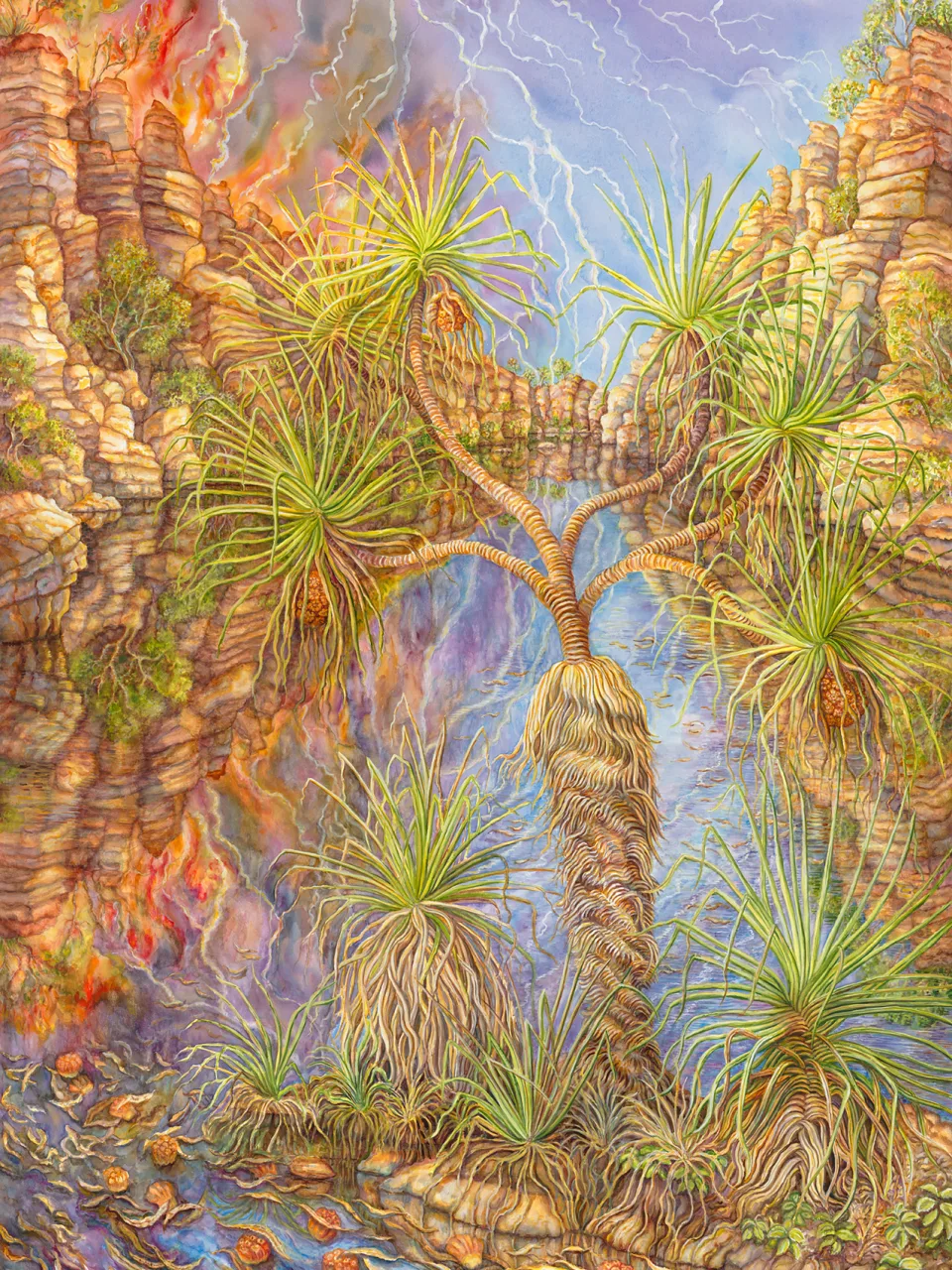 26: The Wet Season Begins—Pandanus spiralis at Umbrawarra Gorge, Northern Territory