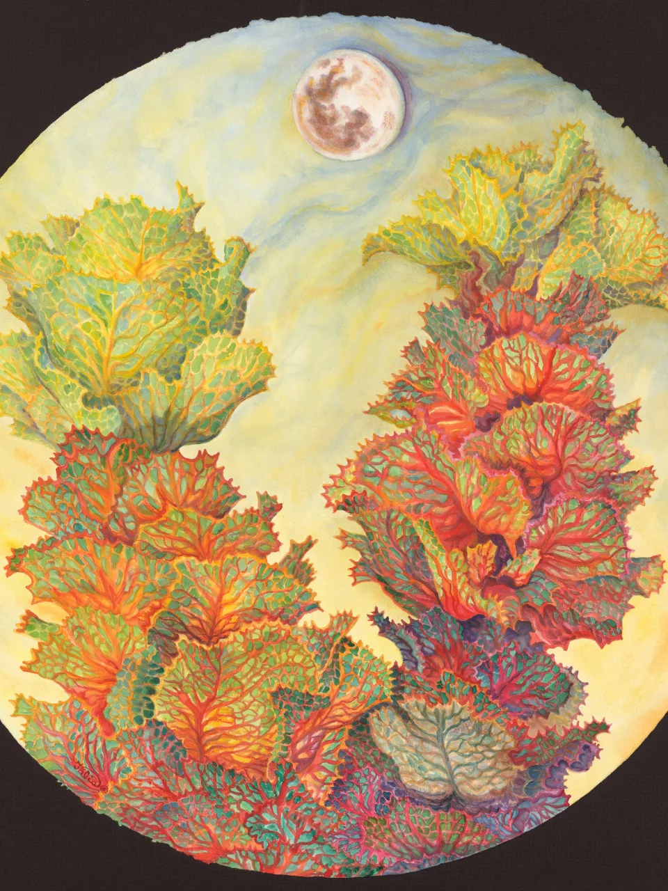 34: Royal Hakea with Sunset Moon