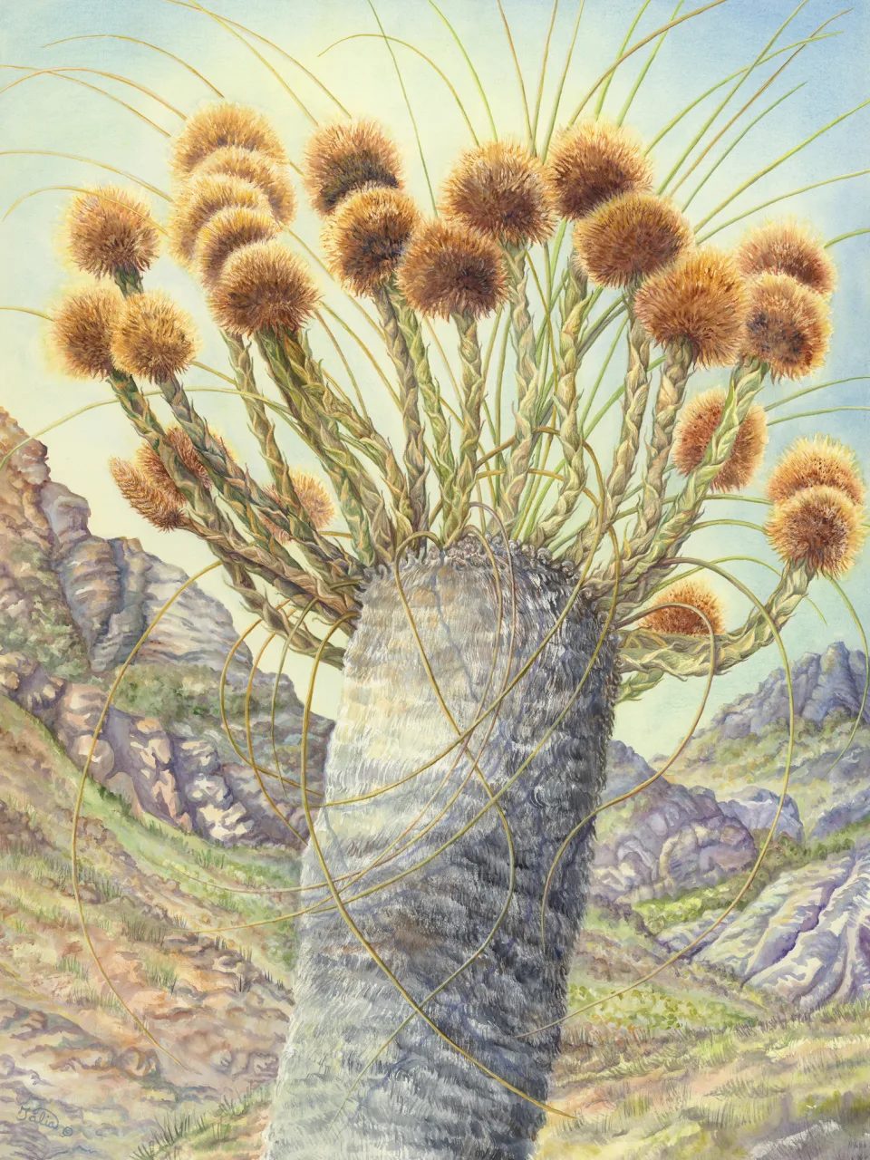 50: Stirling Percussion