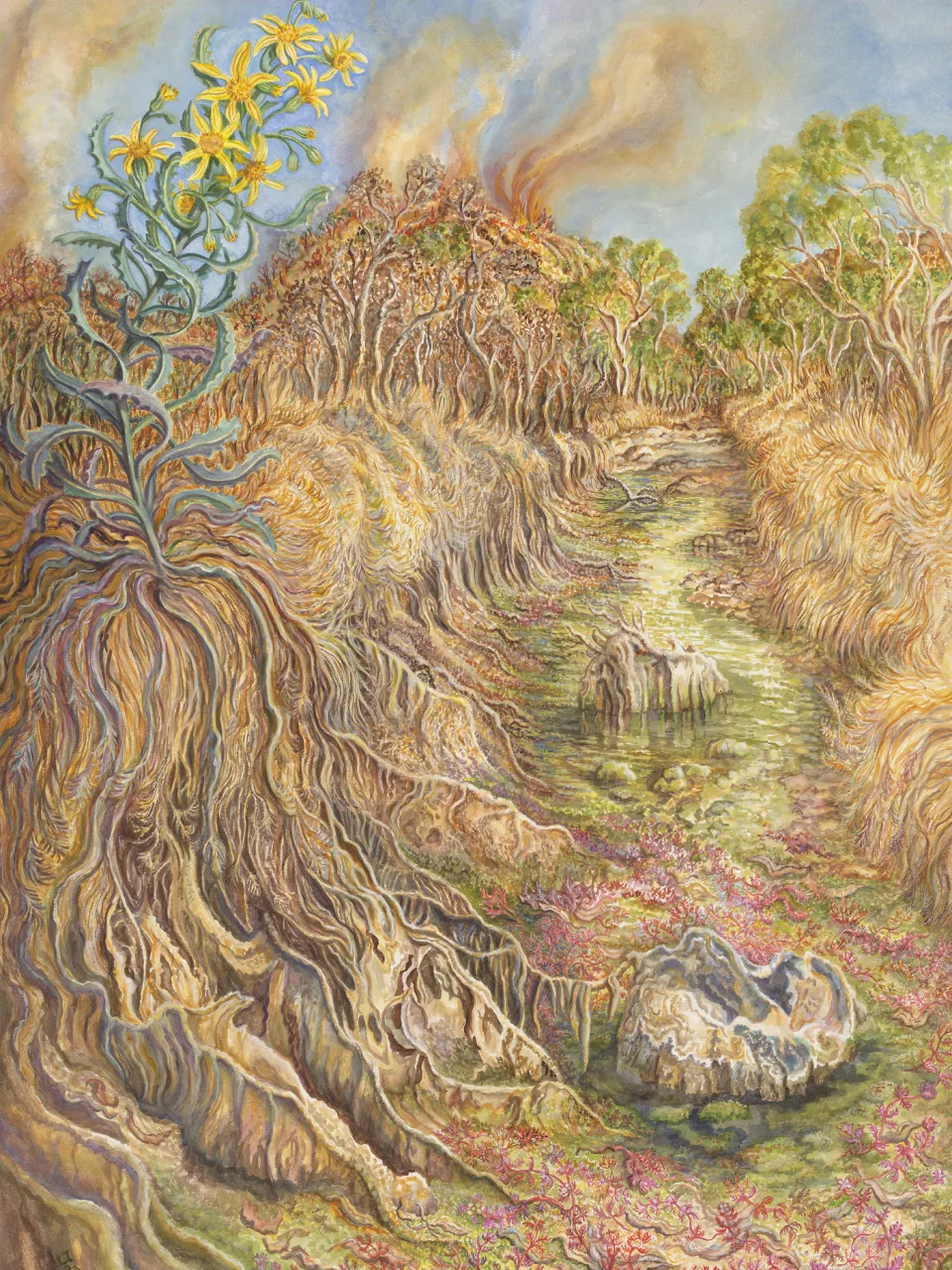 56: Ellery Quintet: A Year in the Life of a Desert Oasis. II—From Drought to Fire