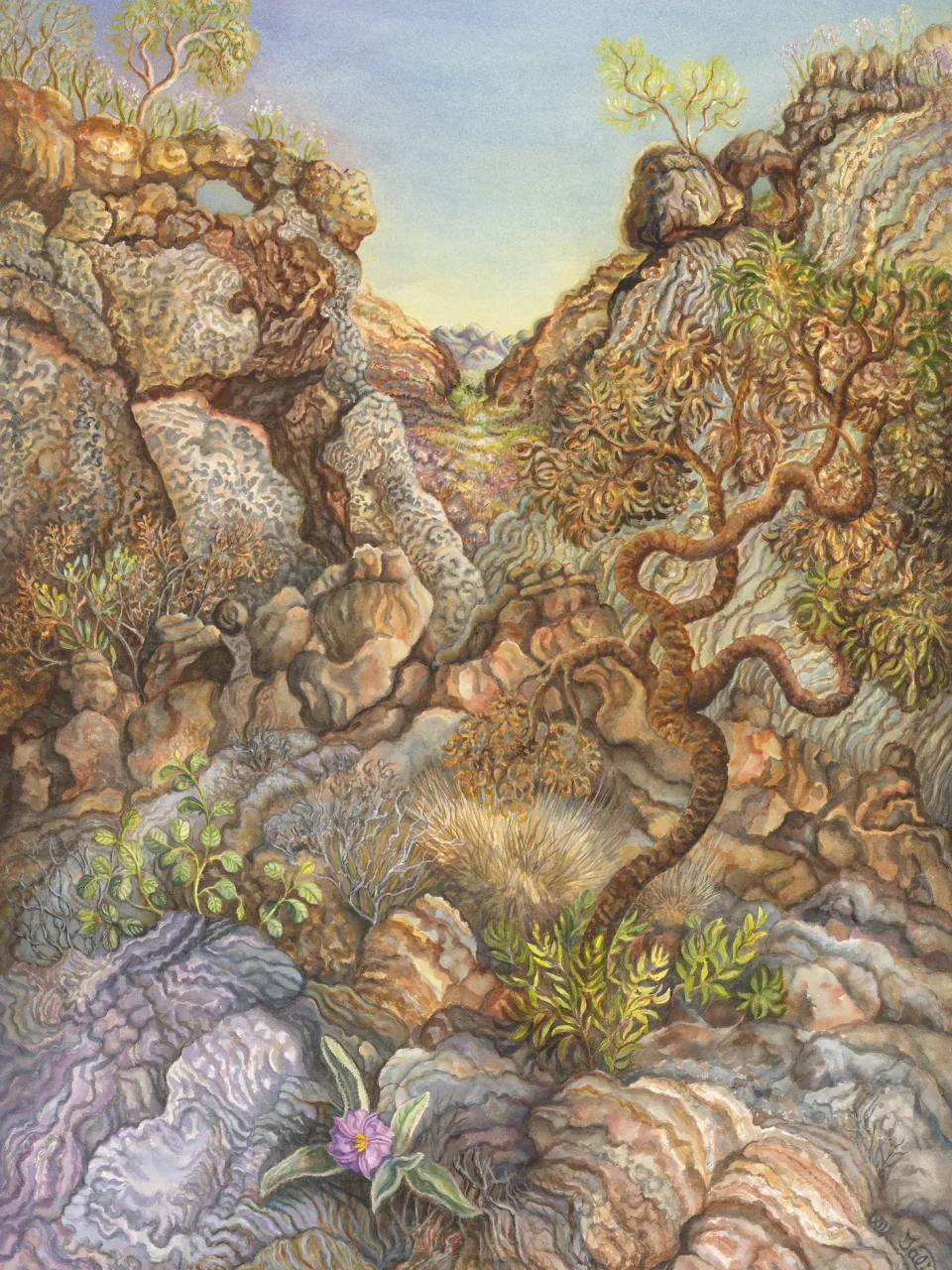 57: Ellery Quintet: A Year in the Life of a Desert Oasis. III—Survivors of Fire on the Ridges