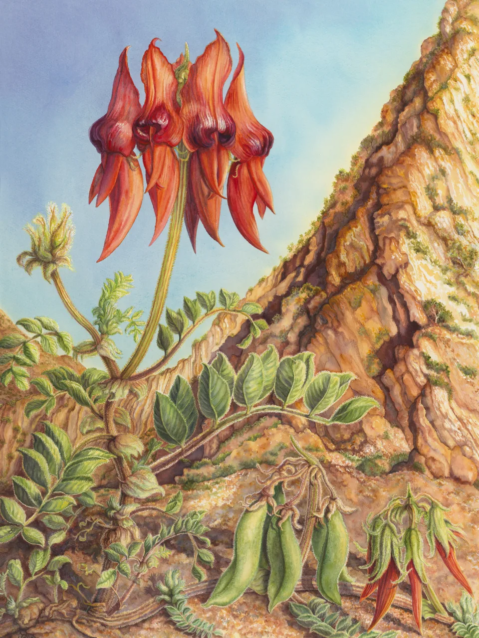 64: Arkaroola Quintet