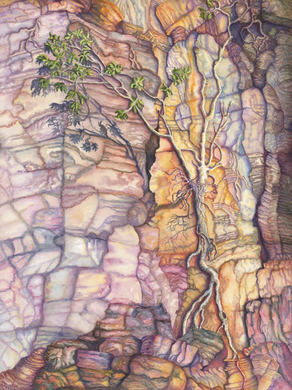 67A: Fig Illusion II