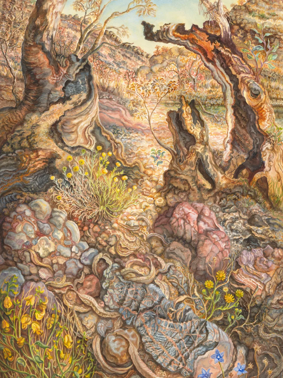 58: Ellery Quintet: A Year in the Life of a Desert Oasis. IV— After First Rains: New Life in the Creek Bed