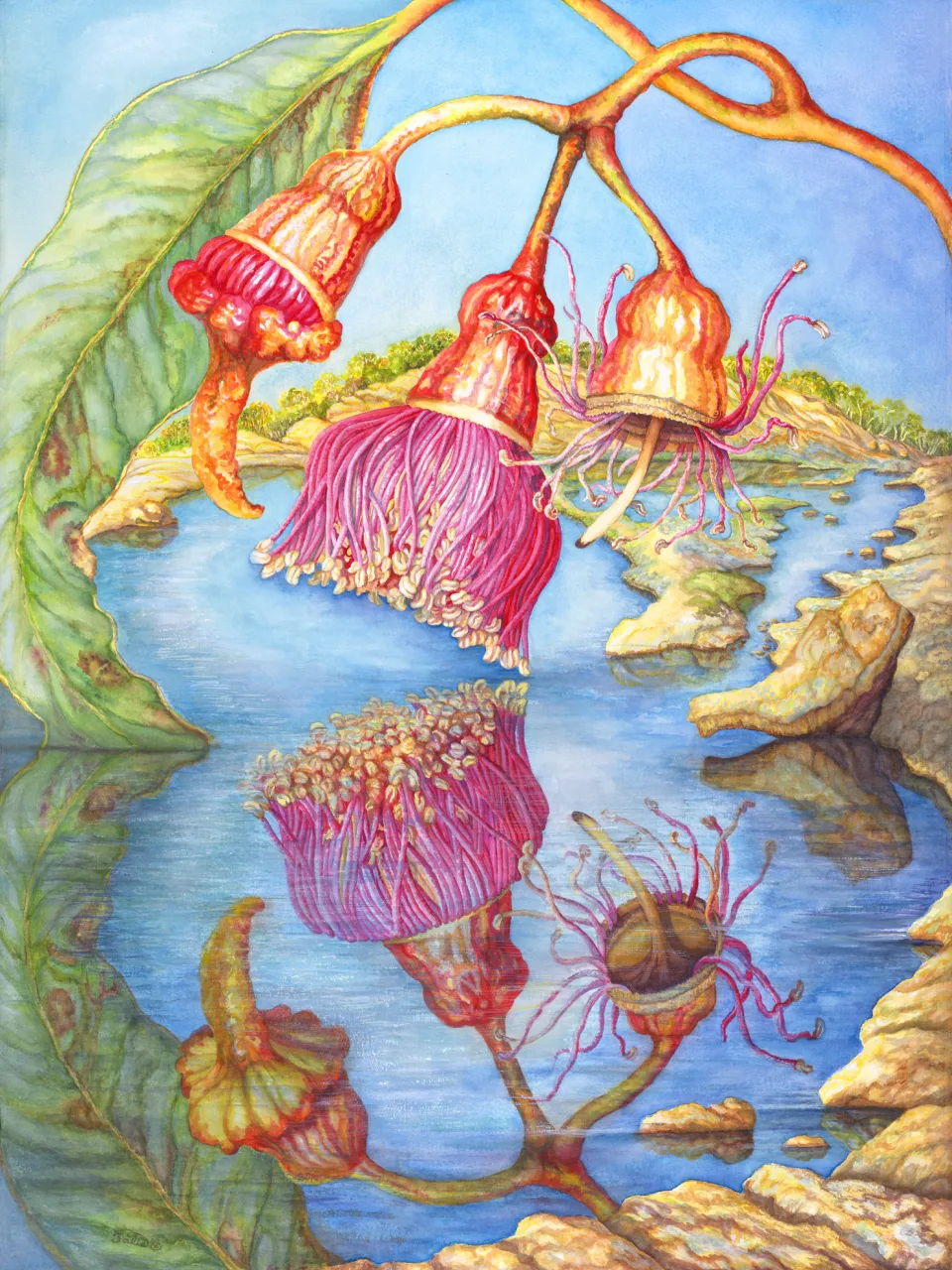 47: Reflections in a Granite Pool, Goldfields, Western Australia