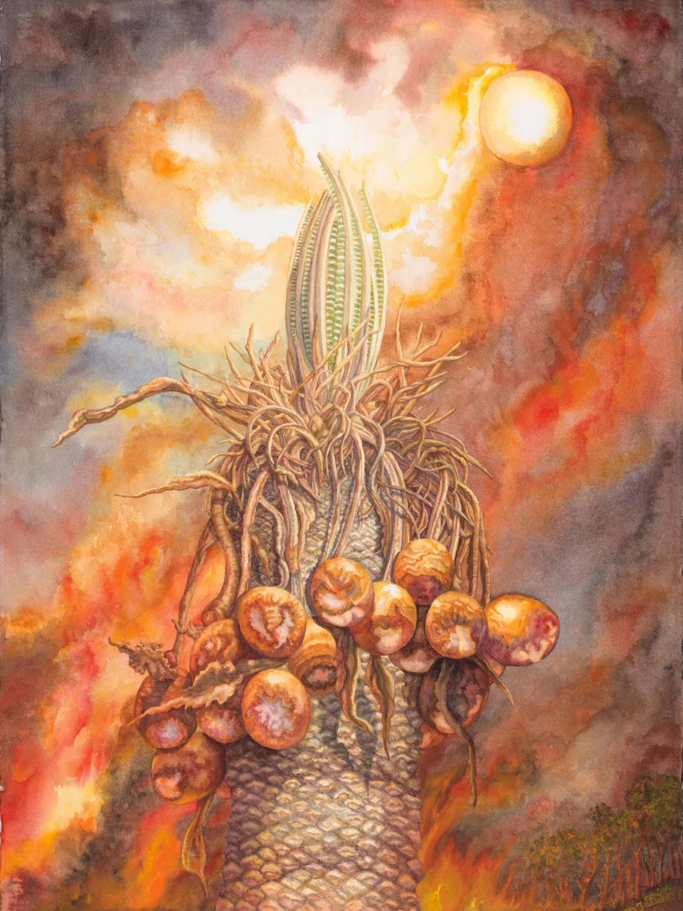 7: Fire-Fern and the Bushfire Sun