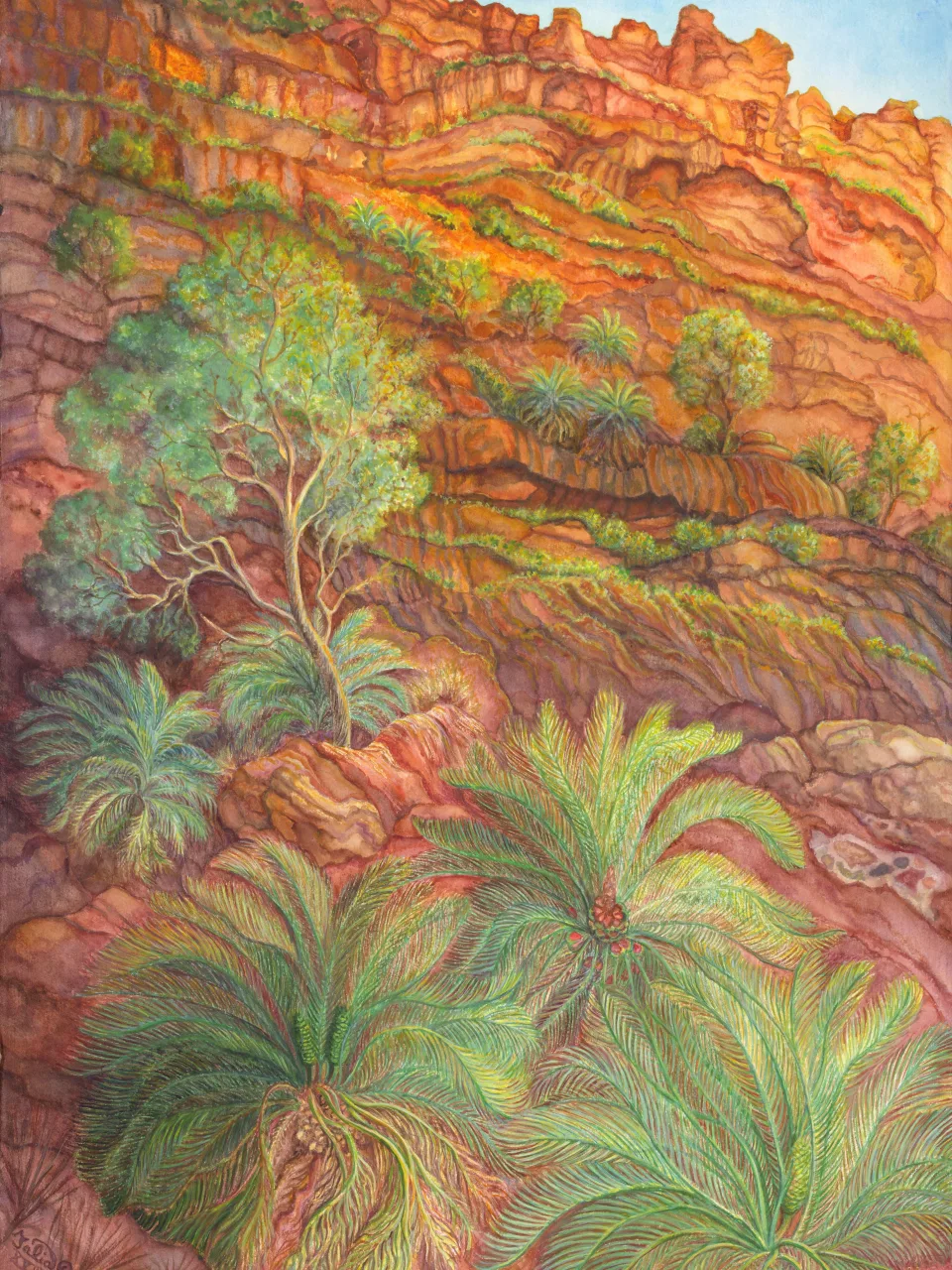 12: Last Light Over Cycad Gorge