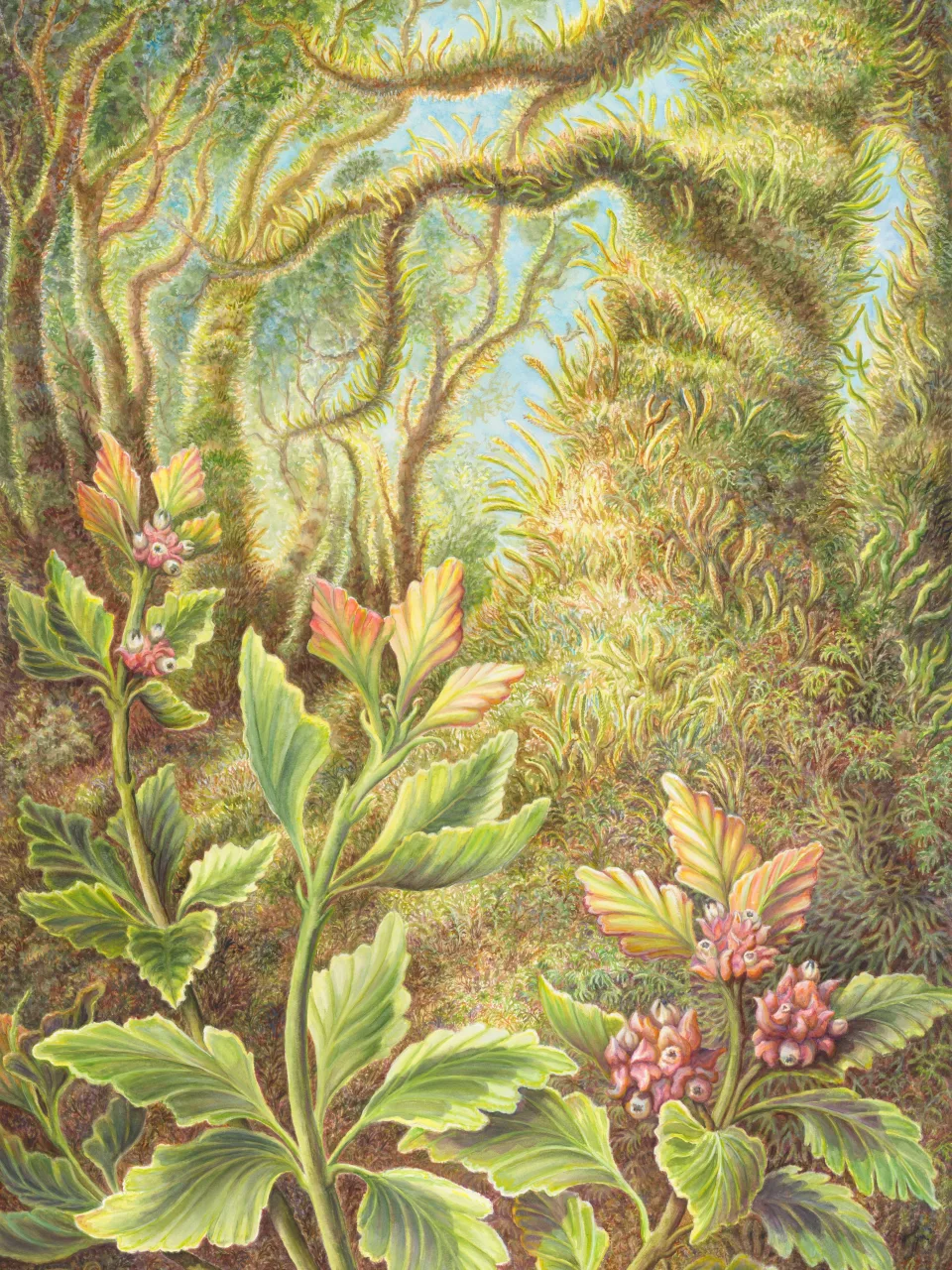 14: Outliving Most Dinosaurs: Tasmania's Celery-Top Pine