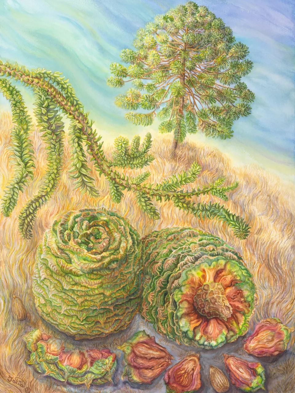 16: Spherical Silhouette, Fallen Feasts