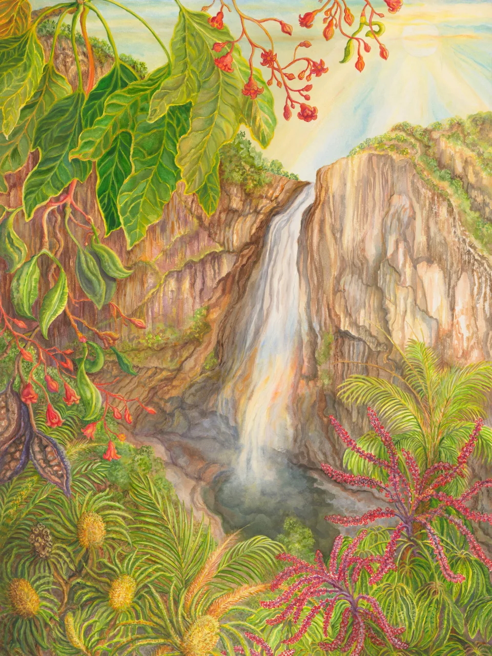 22: Flame Trees at Wallaman Falls, Queensland